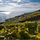 Lavaux2_swiss-image.ch_Marcus Gyger